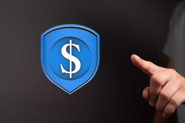 Image of a dollar sign inside a shield, symbolizing financial security and protection.