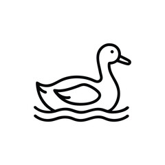 Hand drawn illustration of a duck swimming in water