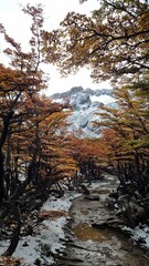 Autumn Colours at Cerro Martial, Ushuaia, Argentina
