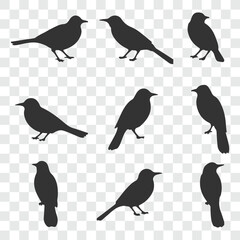 Flat and Minimal crow icon vector illustration isolated on white background an bart icon