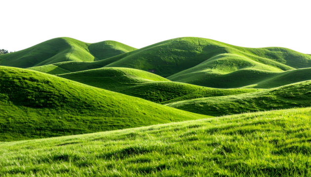 Rolling green grass hills, realistic textures, soft lighting