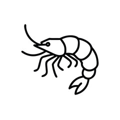 Hand drawn line art illustration of a shrimp seafood