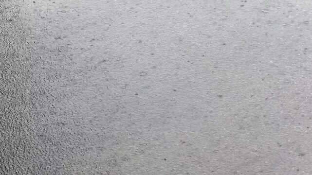 A big puddle from the rain, a typhoon is starting, the wind has brought a cyclone. The weather is rainy, raindrops on the water.