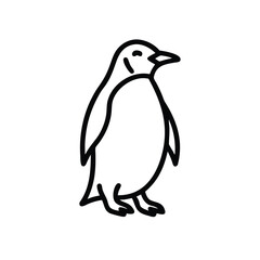 Hand drawn line art penguin illustration cute bird