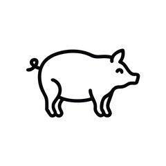 Hand drawn line art pig illustration simple design