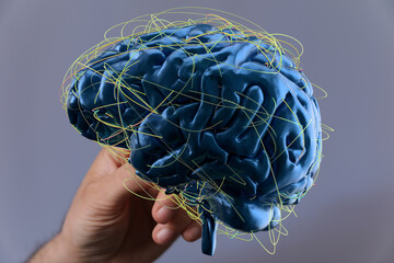 3D rendering of a human brain showing complex neural pathways and connections.