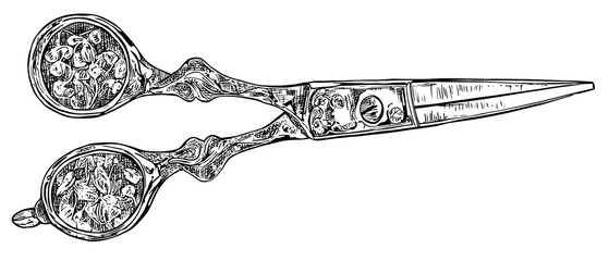 Ornate Hairdressing Scissors