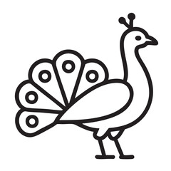 peacock vector illustration