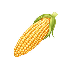 Obraz premium Freshly Harvested Ear of Corn with Husk