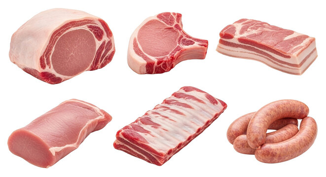 Selection of raw pork meat cuts for grilling and cooking barbecue ribs bacon sausage chop loin roast on transparent background