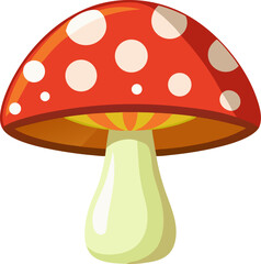 fly agaric mushroom