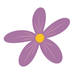 colorful kind of flowers for decoration