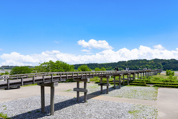 静岡県島田市　蓬莱橋