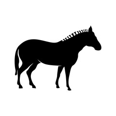 Black silhouette of zebra animal. Animal symbol