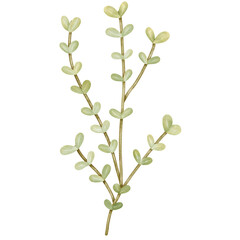 Warm spring composition hand drawn illustration