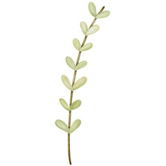 Warm spring composition hand drawn illustration