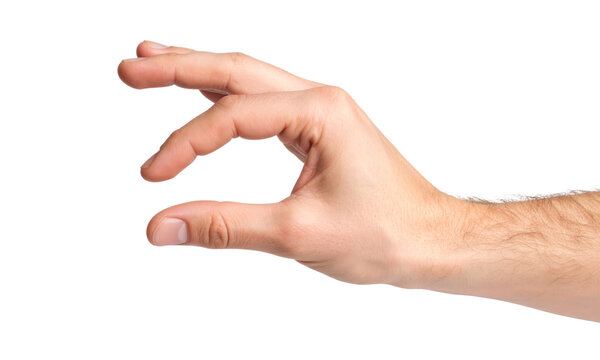 Hand gesture isolated human skin finger arm closeup male transparency background Hand making pinching gesture with fingers isolated transparency background showing closeup of male arm and skin