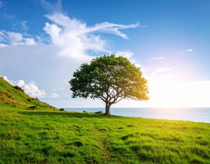 A breathtaking landscape photography