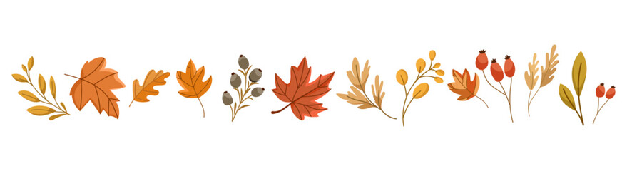 Vector set of Autumn themed elements with fall leaves, berries, acorns, branches in warm seasonal colors, perfect for DIY projects, greeting cards, invitations, packaging, scrapbooking, decorations