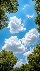 Lush green treetops frame a vibrant blue sky filled with fluffy cumulus clouds