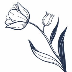vector black and white white tulip flowers