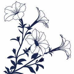 abstract floral background with white petunia flowers