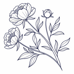 floral background with white peony flowers