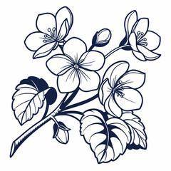 abstract floral background with white begonia flowers