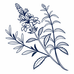 seamless pattern with leaves and water hyssops