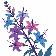 floral background with water hyssops