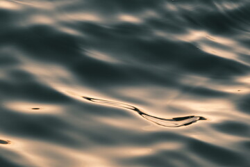 Golden blue sparkling water under the sunset
