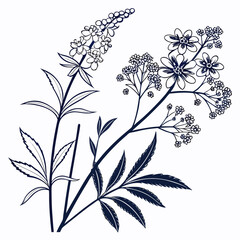 lily of the valleys with leaves