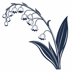 Naklejka premium vector illustration of lily of the valleys