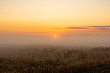 Calm foggy landscape of empty agricultural meadow in countryside in the morning with golden light...