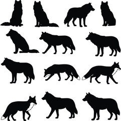Wolf and fox silhouette collection, wild animal poses, vector set, black illustration, nature symbol, forest wildlife, predator shadow, standing sitting walking isolated art