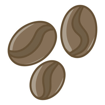 coffee beans vector