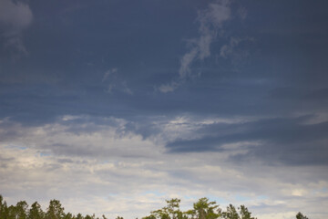 Obraz premium Dark gray storm clouds rolling in on a summers afternoon in southern USA!