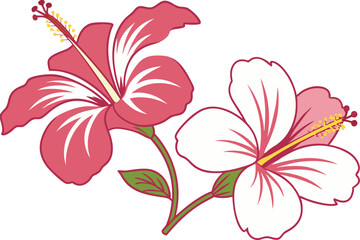 Tropical Hibiscus and Plumeria Flower Illustration with Bright Colors. Exotic Hibiscus and Plumeria Bloom Design for Summer Themes. Colorful Floral Art Featuring Tropical Hibiscus and Plumeria Flowers