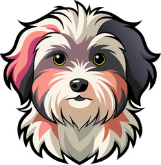 Havanese dog