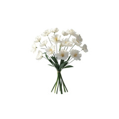 Obraz premium Elegant Bouquet of White Flowers on Transparent Background