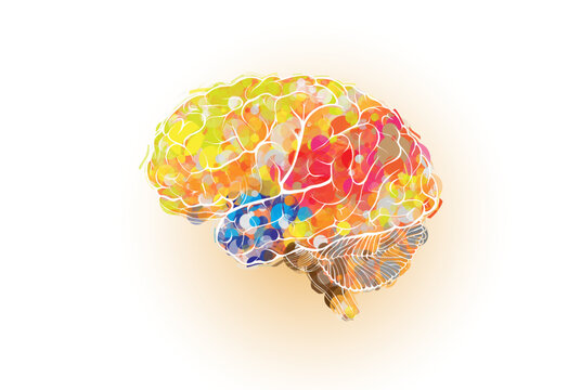 The outline of a human brain filled with brightly colored particles symbolizes full brain function, mental health and happiness.