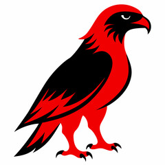 Red-tailed Hawk silhouette black color bird on white background