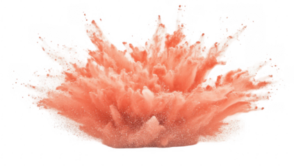 Abstract Coral Explosion