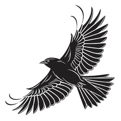 Obraz premium Striking black bird in flight silhouette isolated on white background artwork