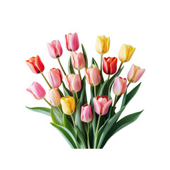 Obraz premium Vibrant Bouquet of Colorful Tulips on Transparent Background