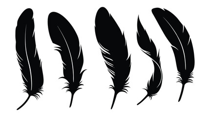 feather icon simple style vector image. Feathers vector set in a flat style