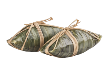 Two wrapped rice dumplings