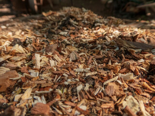 Close-up of Freshly Chipped Wood Mulch Covering the Ground in Warm Sunlight