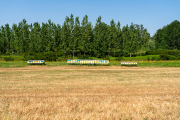 Beehives in organized formation at outdoor beekeeping site in natural setting