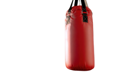 Red Punching Bag: The vibrant red punching bag is ready for training, suspended, creating a dynamic scene of boxing and combat sports. Suitable for fitness, sport, and active lifestyle promotions.